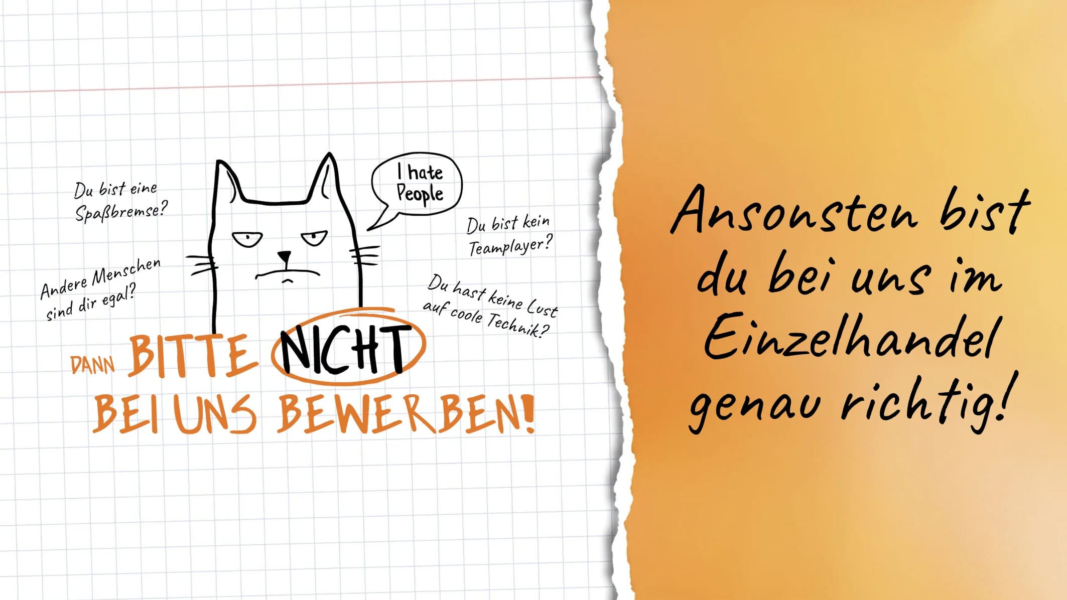 Aus­bil­dung bei expert TeVi