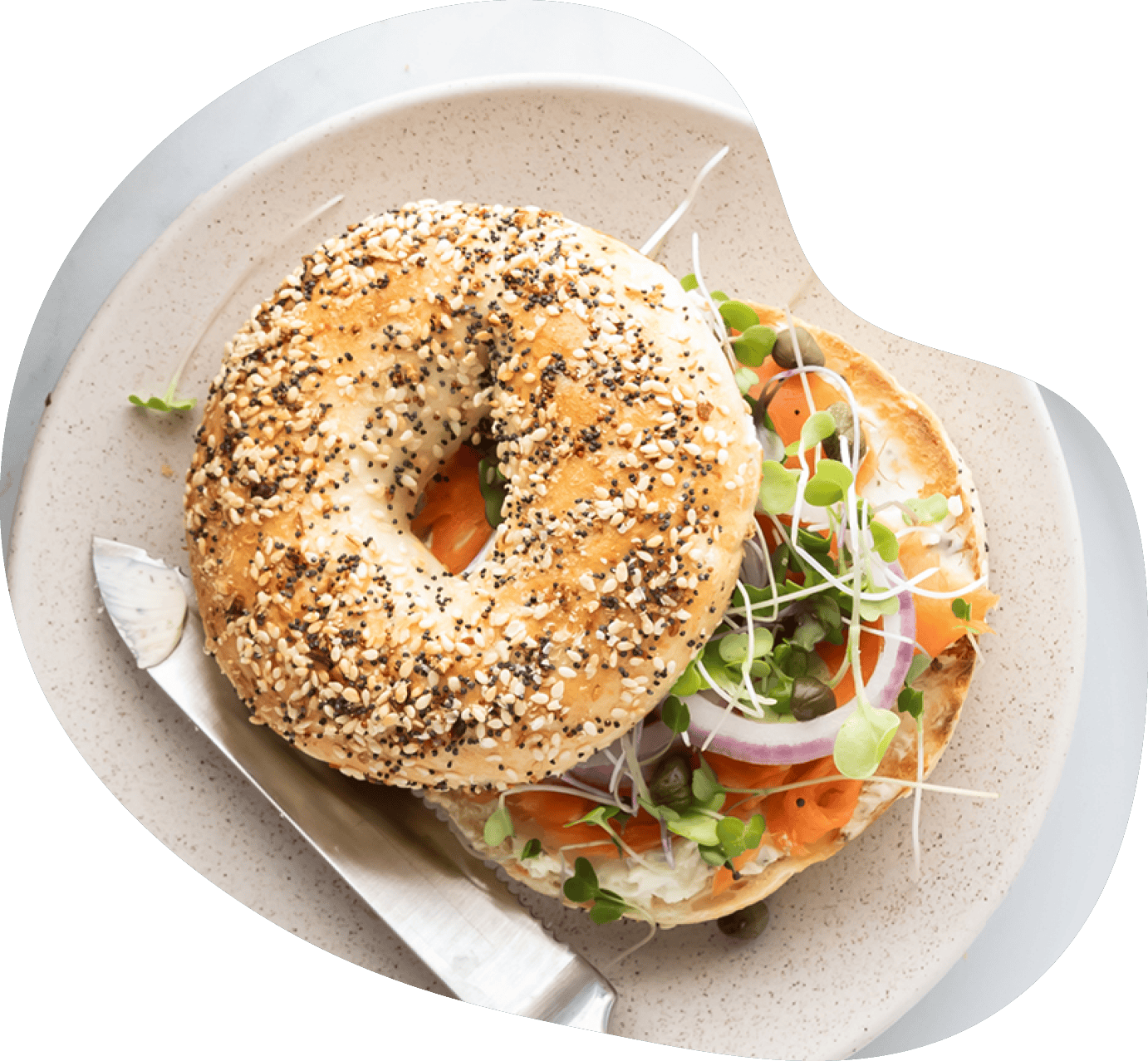 Quark Protein-Bagel aus dem Airfryer - Rezept von TeVi