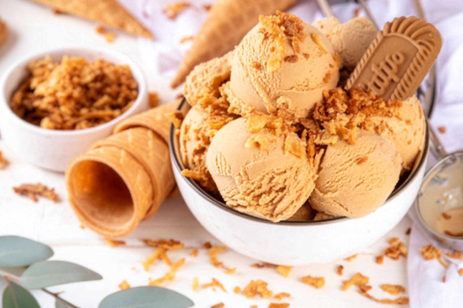 Lotus Biscoff Eis aus der Ninja Creami Rezept von TeVi * Bild mit KI bearbeitet (Magnific, Adobe)