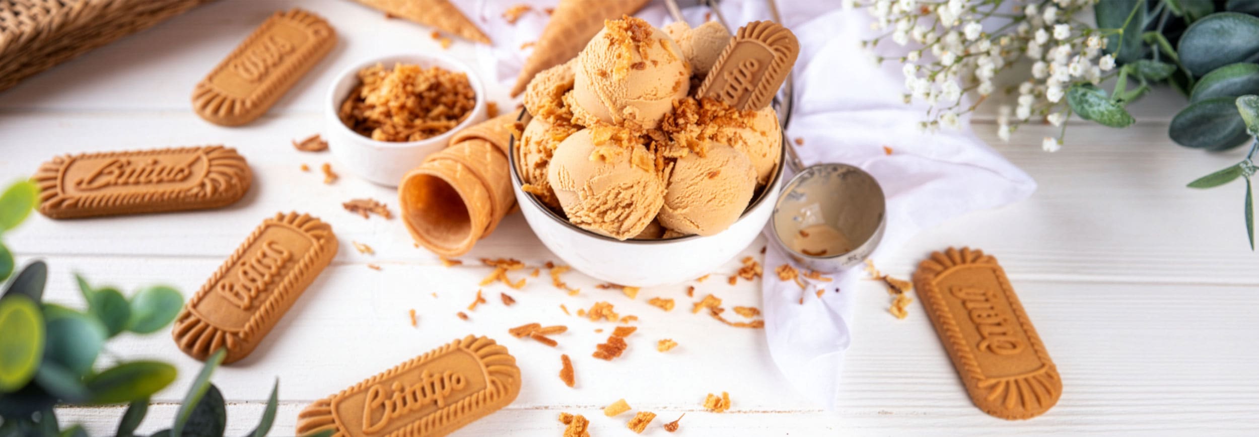 Lotus-Biscoff-Ninja-Creami-Eis-TeVi_2500x868 Lotus Biscoff Eis aus der Ninja Creami Rezept von TeVi * Bild mit KI bearbeitet (Magnific, Adobe)